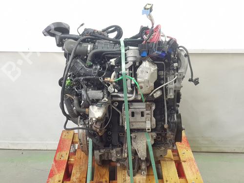 Engine NISSAN NV300 Van (X82)  | BP31840865M1 