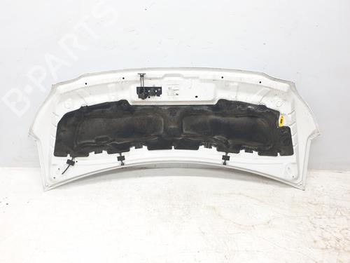 Hood NISSAN INTERSTAR Van (X62B) dCi 135 | BP27880785C1 