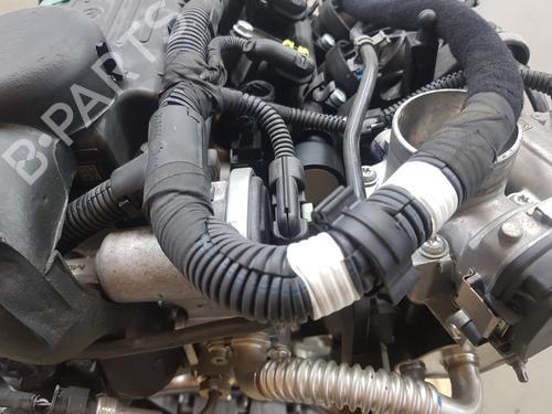 Engine FIAT 500 (312_) 1.0 Mild Hybrid (312AYD1B) | BP37519921M1 - Image 7