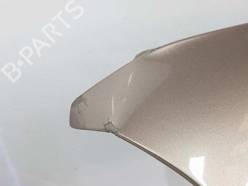 Left front fenders NISSAN QASHQAI / QASHQAI +2 I (J10, NJ10, JJ10E) 2.0 dCi | BP6935963C41 