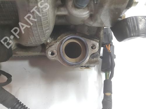 Cylinder head LAND ROVER RANGE ROVER SPORT II (L494)  | BP17044173M5