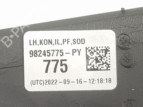 Left mirror DS DS 3 / DS 3 CROSSBACK (UR_, UC_, UJ_)  | BP17669659C26 