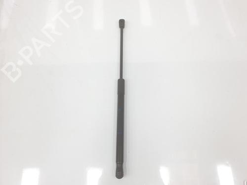 Hood lift support BMW X1 (F48) xDrive 18 d | BP14100592C139 