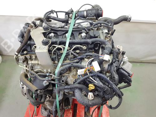 Engine NISSAN NAVARA NP300 (D40) 2.5 dCi 4WD (D40TT, D40T, D40M, D40BB) | BP36798534M1 - Image 22