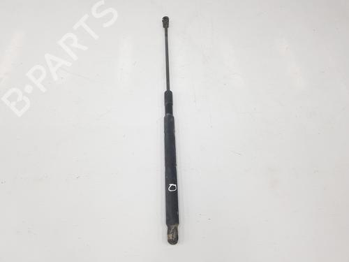 Hood lift support MERCEDES-BENZ M-CLASS (W164) ML 280 CDI 4-matic (164.120) | BP14094387C139 