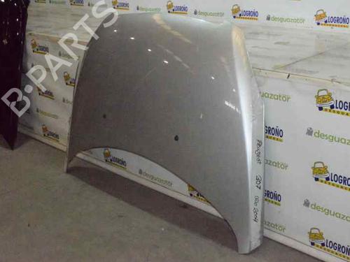 Hood PEUGEOT 307 (3A/C) 2.0 16V | BP1424996C1 