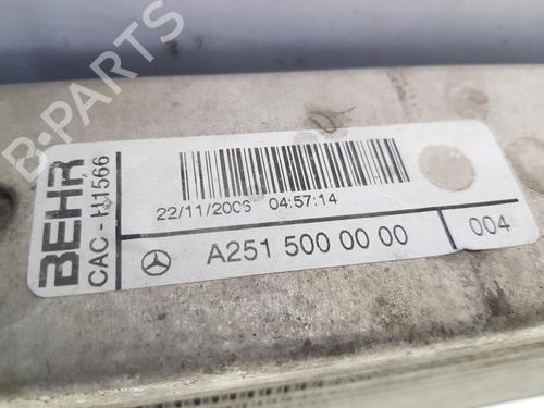 Intercooler MERCEDES-BENZ M-CLASS (W164) ML 320 CDI 4-matic (164.122) | BP9138989M30 