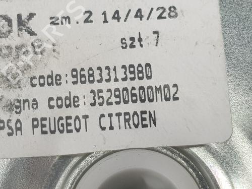 Tailgate lift support PEUGEOT 3008 I MPV (0U_) 1.6 HDi 115 / BlueHDi 115 | BP14103800C138 