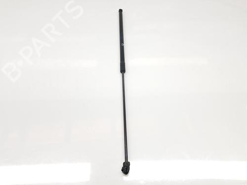 Hood lift support VW PASSAT B6 (3C2) 2.0 TDI 16V | BP14094463C139 