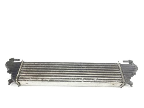 Intercooler FIAT TIPO Hatchback (356_, 357_) 1.6 D (356HXG1B, 356HXG11) | BP31909336M30 