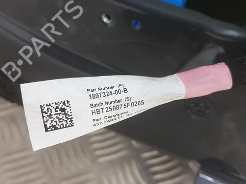 Dør højre bagtil TESLA MODEL 3 (5YJ3) | BP38098373C5 - Image 3