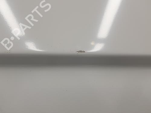 Right rear door RENAULT TRAFIC III Van (FG_) 1.6 dCi 90 (FGME) | BP16198308C5