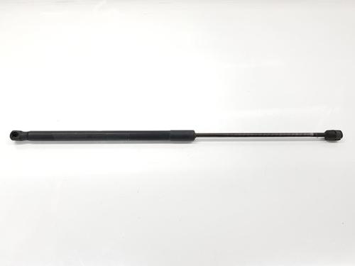 Used Tailgate lift support BMW X1 (E84) sDrive 18 d (143 hp) 17173187