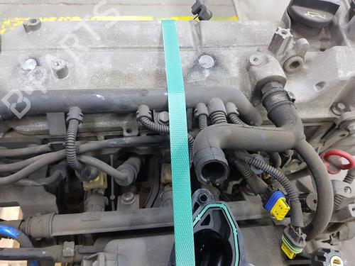 Engine FIAT PANDA (169_) 1.2 (169.AXB11, 169.AXB1A) | BP38037941M1 - Image 7
