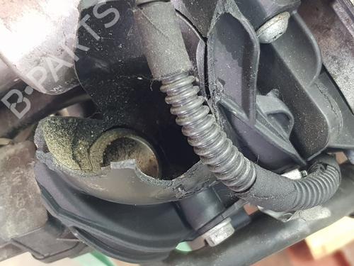 Engine AUDI A4 B9 (8W2, 8WC) 2.0 TDI | BP35905663M1 - Image 3