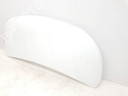 Hood RENAULT TRAFIC III Van (FG_) 1.6 dCi 140 (FGMA, FGMC) | BP30000342C1 