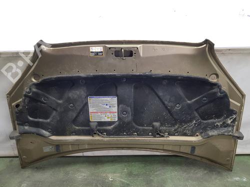 Hood FIAT DOBLO Box Body/MPV (223_) 1.3 D Multijet | BP9440110C1 
