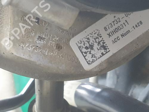 Engine VW TRANSPORTER T6 Van (SGA, SGH, SHA, SHH) | BP30304895M1