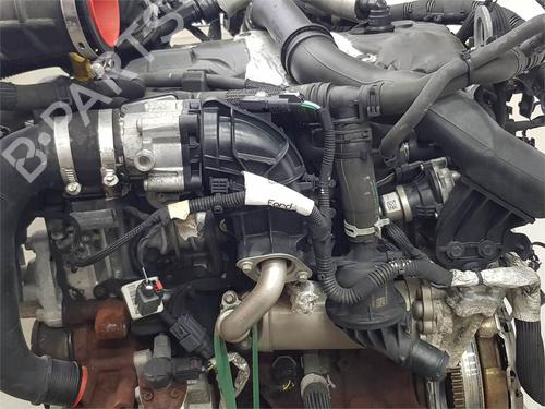 Engine FORD TRANSIT CUSTOM V362 Van (FY, FZ) | BP38936242M1 - Image 4