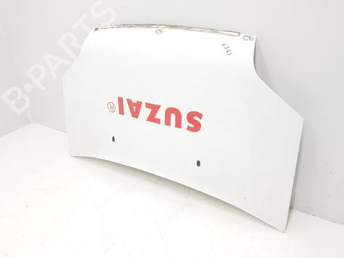 Hood FORD TRANSIT CONNECT (P65_, P70_, P80_) 1.8 TDCi | BP16445080C1