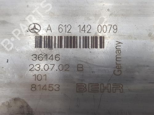 Egr MERCEDES-BENZ M-CLASS (W163) ML 270 CDI (163.113) | BP14104139M69 