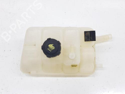 Expansion tank RENAULT MEGANE IV Hatchback (B9A/M/N_) 1.2 TCe 130 (B9MR) 217102781R  | 217102781R  |