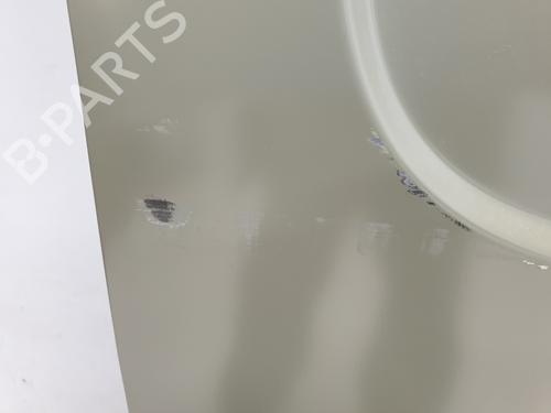 Left rear door RENAULT TRAFIC III Van (FG_)  | BP21003933C4 