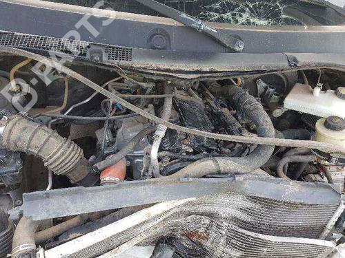 Front left lock OPEL MOVANO B Platform/Chassis (X62) 2.3 CDTI RWD (EV, HV, UV) | BP6127319C98