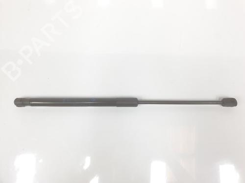 Used Hood lift support BMW X1 (F48) xDrive 18 d (150 hp) 14100592