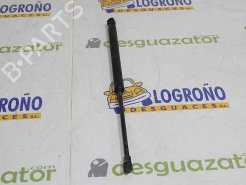 Tailgate lift support BMW 1 (E87) 120 d | BP14119896C138 
