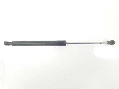Gasfjeder motorhjelm RENAULT CLIO IV (BH_) 0.9 TCe 90 (BHNF, BHMA, BHMH, BHJK, BHJR) (90 hp) 14082302