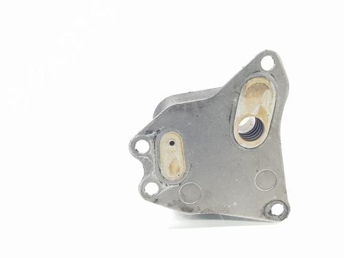 Oil radiator LAND ROVER RANGE ROVER SPORT I (L320) 2.7 D 4x4 | BP24615110M33 