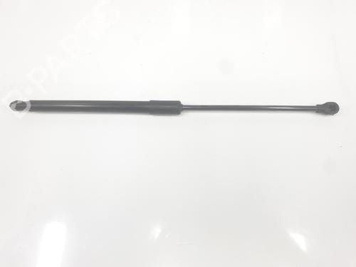 tailgate-lift-support-dacia-sandero-iii-2021-34225074 main image