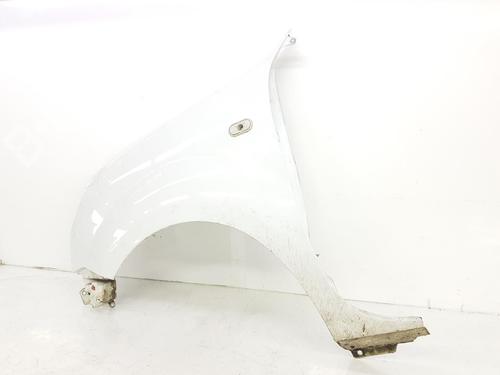 Left front fenders RENAULT KANGOO (KC0/1_) 1.5 dCi (KC08, KC09) | BP8934925C41 