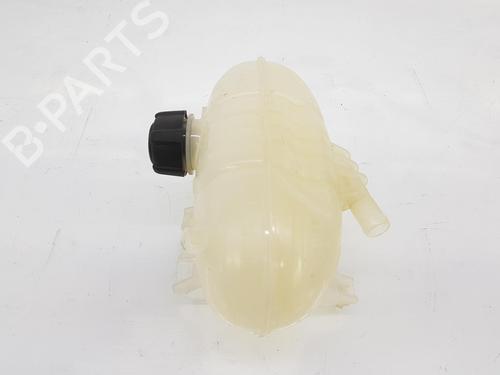 Used Expansion tank RENAULT TRAFIC III Van (FG_) 1.6 dCi 120 (FGMK) (121 hp) 9136538