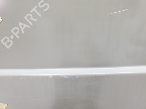 Right rear door RENAULT TRAFIC III Van (FG_)  | BP21054987C5 