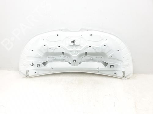 Hood RENAULT TRAFIC III Van (FG_) 1.6 dCi 140 (FGMA, FGMC) | BP29955808C1