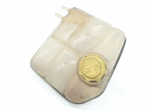 Used Expansion tank FORD TOURNEO CONNECT 1.8 TDCi (110 hp) 19097452