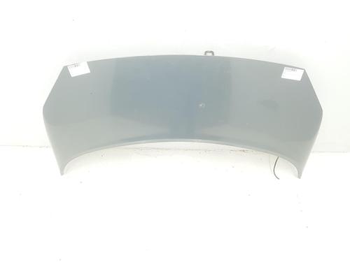 Hood RENAULT GRAND SCÉNIC II (JM0/1_) 1.5 dCi (JM02, JM13) | BP15074871C1 