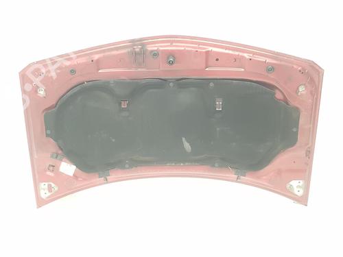 Hood RENAULT MEGANE II (BM0/1_, CM0/1_) 1.9 dCi (BM0G, CM0G) | BP11096121C1 