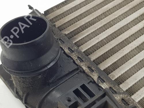 Intercooler OPEL MERIVA B MPV (S10) 1.7 CDTI (75) | BP29011337M30