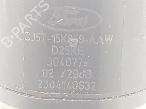 Electronic module FORD FOCUS III 1.0 EcoBoost | BP10051556M83 