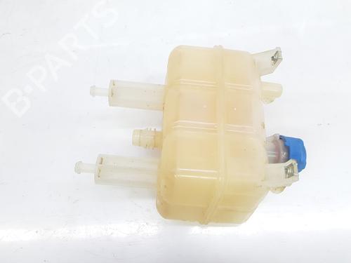 Expansion tank PEUGEOT BOXER Van 2.2 HDi 130 | BP10034294C120 