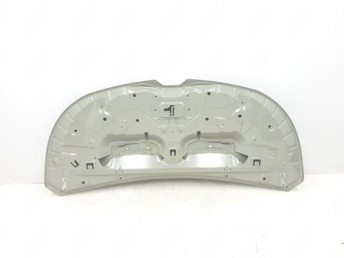 Hood RENAULT TRAFIC III Van (FG_) 1.6 dCi 140 (FGMA, FGMC) | BP29942155C1