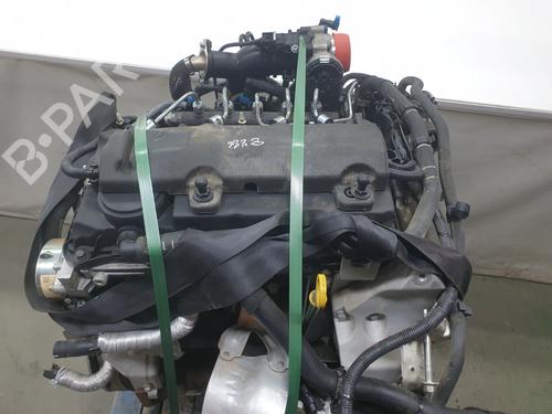 Used Engine FORD RANGER (TKE) [2011-2025]  29244459
