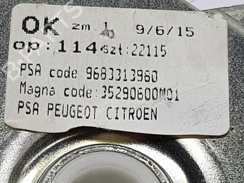 Tailgate lift support PEUGEOT 3008 I MPV (0U_) 1.6 HDi | BP16238331C138 