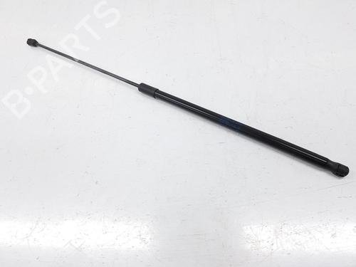 Hood lift support VW GOLF VII (5G1, BQ1, BE1, BE2) 2.0 TDI | BP14104617C139 