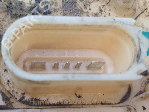 Fuel pump SEAT LEON (1P1)  | BP8175325M76 