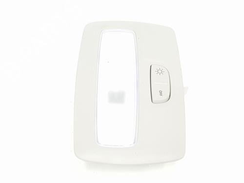 Interior roof light DACIA SANDERO III | BP32679512I8