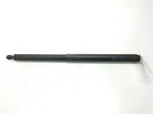 Used Tailgate lift support MERCEDES-BENZ M-CLASS (W164) ML 320 CDI 4-matic (164.122) (224 hp) 15133409